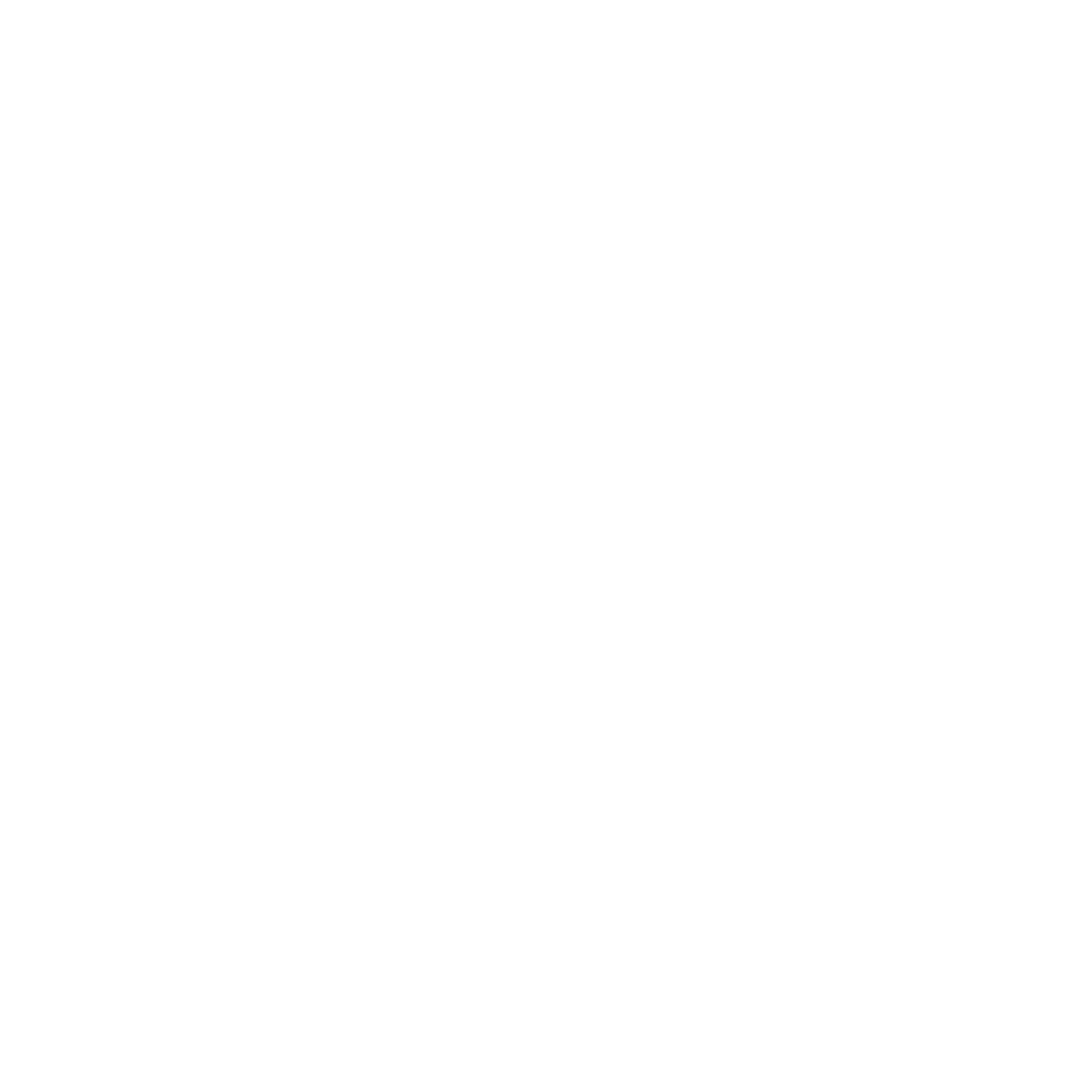 Spear Investigations Logo